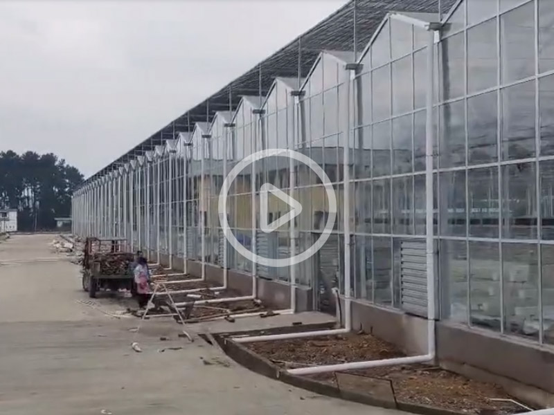 玻璃溫室建造現(xiàn)場