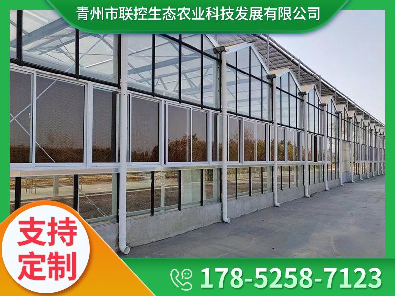 蔬菜大棚建設(shè)需考慮的基本條件